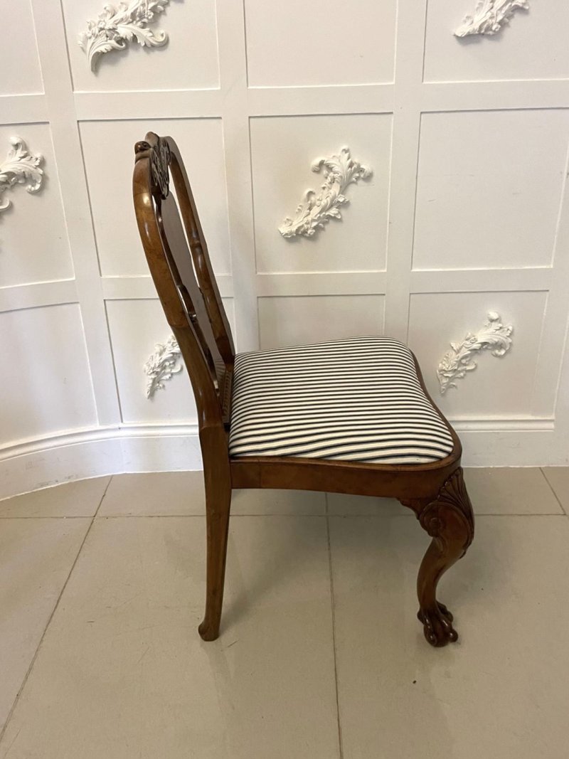 Outstanding Quality Set of 12 Antique Victorian Burr Walnut Dining Chairs - Image 11